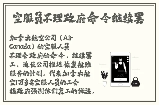 吴梦梦在粉丝家第二季的剧情介绍